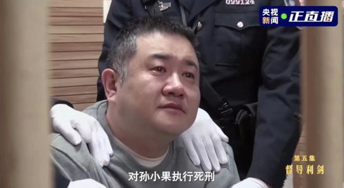 陕西版孙小果获死刑，曾纸面服刑的司法悲剧