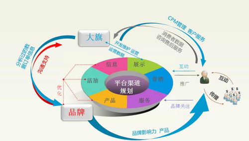 电子商务专业主要干什么