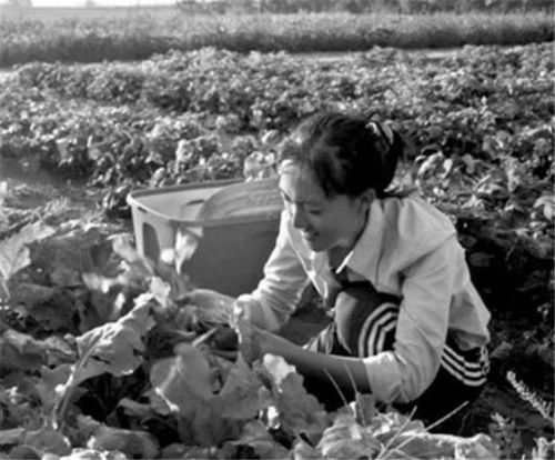 《我的母亲》作者农民工大爷发声