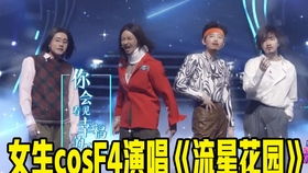F4五月天演唱会合唱《流星雨》